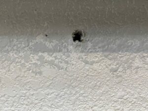 Patch Small Holes in Drywall