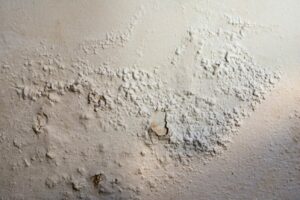 Removing Popcorn Ceilings