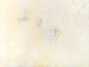 Wall Texture Repair